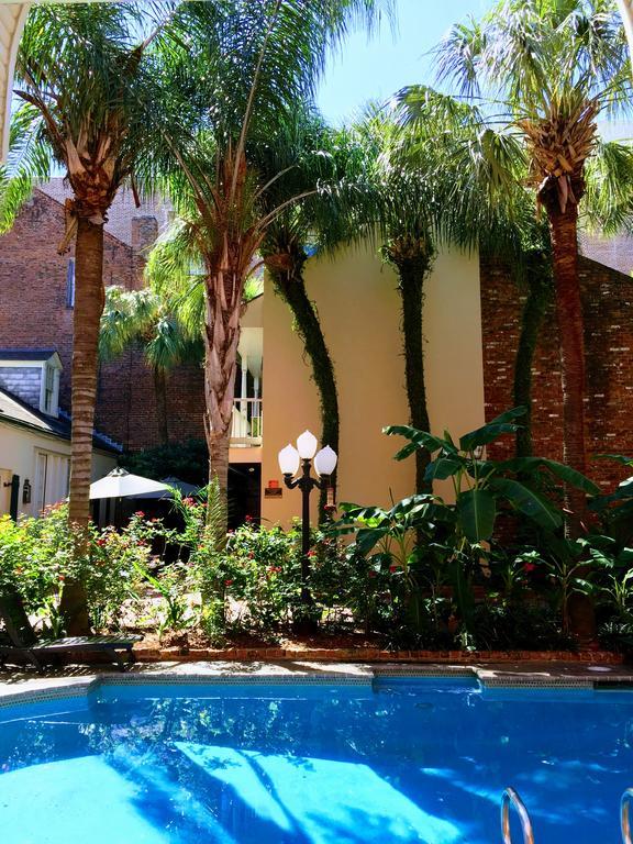 Chateau Orleans New Orleans Eksteriør billede