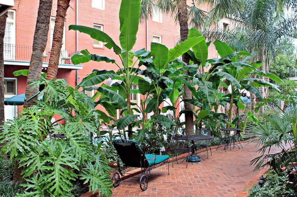 Chateau Orleans New Orleans Eksteriør billede