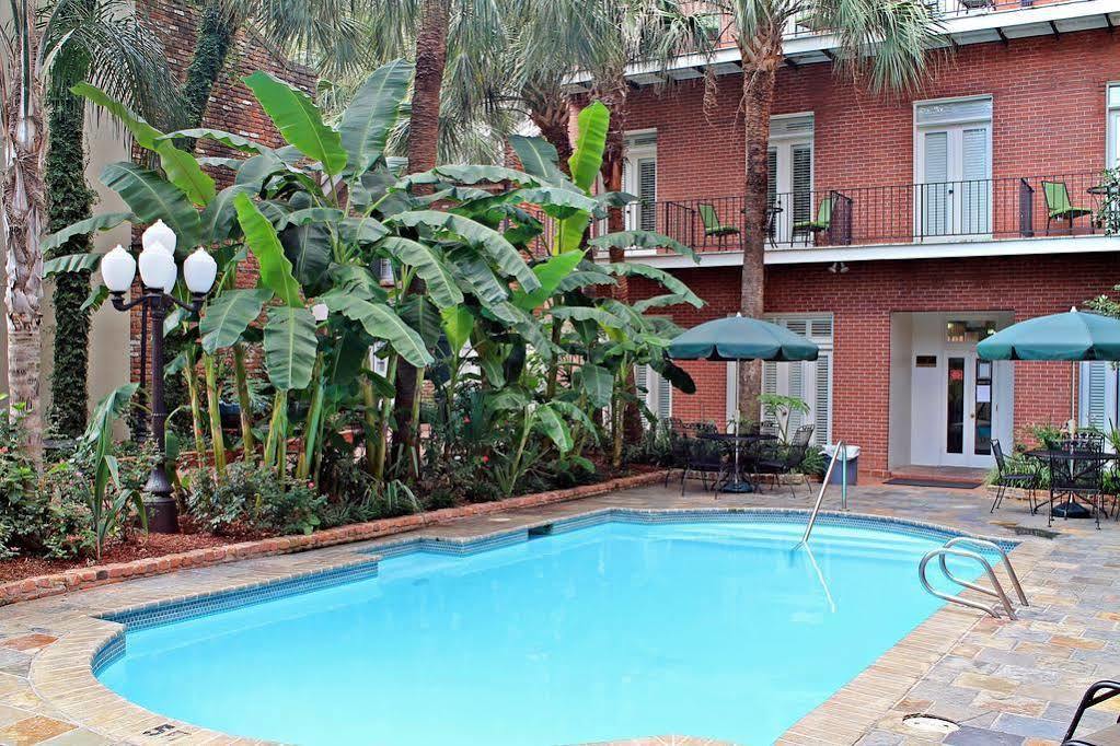 Chateau Orleans New Orleans Eksteriør billede